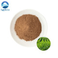 Green Tea Extract Polyphenol 98% EGCG 40% Catechins